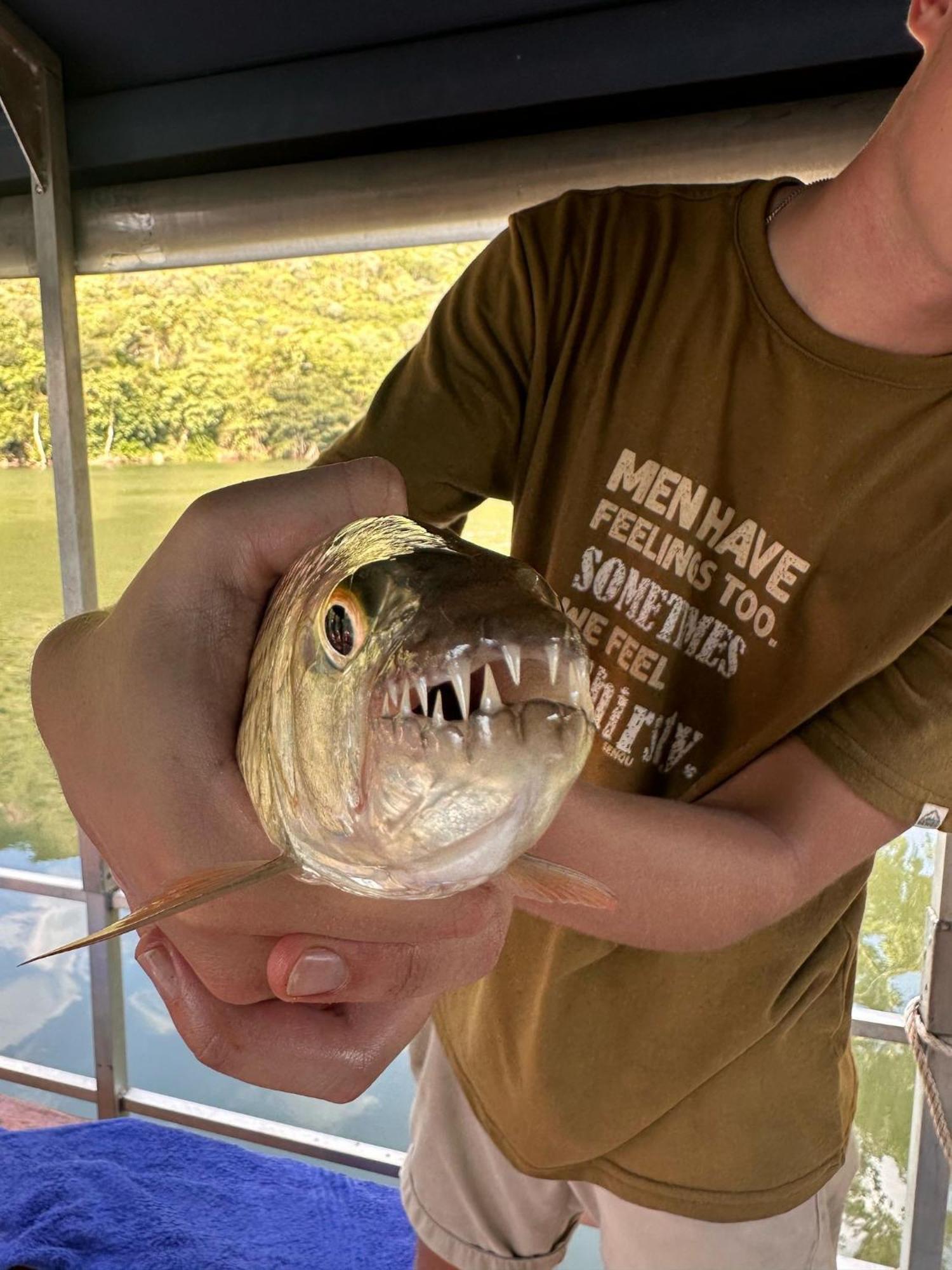 Hippo Retreat & Tiger Fishing Komatipoort Bagian luar foto